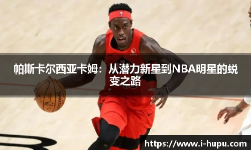 虎扑电竞官方网站