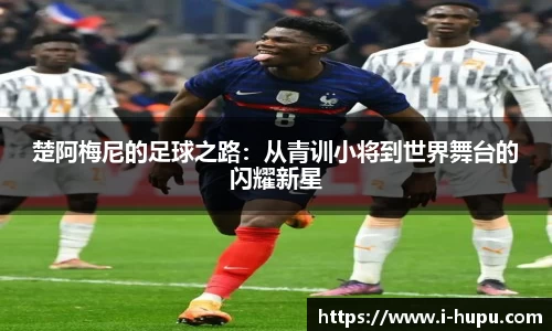 虎扑电竞官方网站